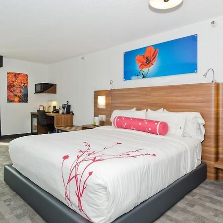 Hotel Elan YYC Dış mekan fotoğraf
